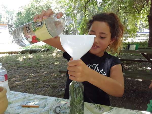 Kid's Herbal Summer Camp @ The Plant Stop