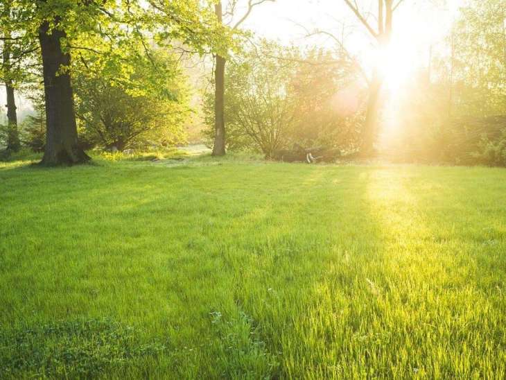 legendary lawn legendary lawn