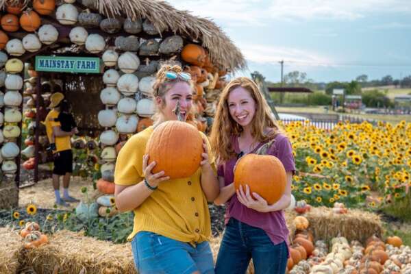 Fall Pumpkin Days @ Mainstay Farm Park