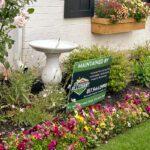Allegiant Lawn and Outdoor Services: Local Love Home Services 2025