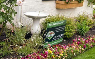 Allegiant Lawn and Outdoor Services: Local Love Home Services 2025