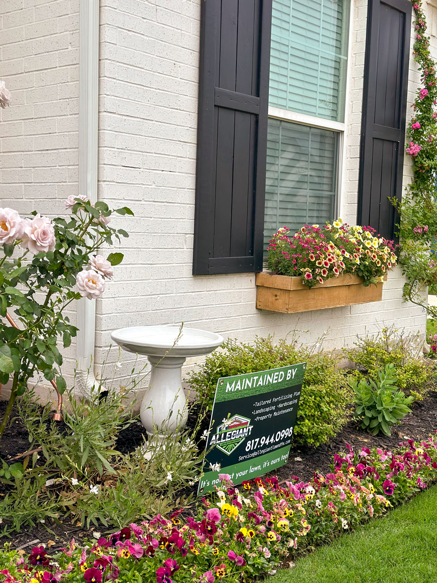 allegiant lawn and outdoor services burleson